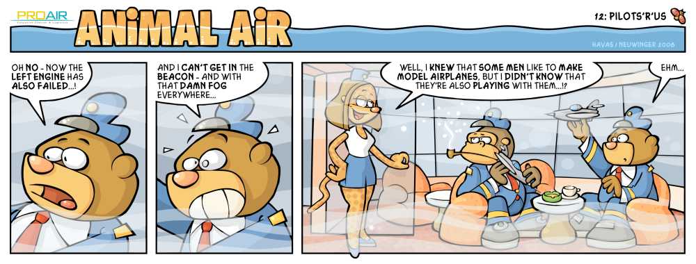 Animal Air (English) 12